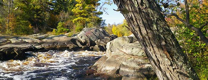 Flambeau River State Forest Campground in Wisconsin
