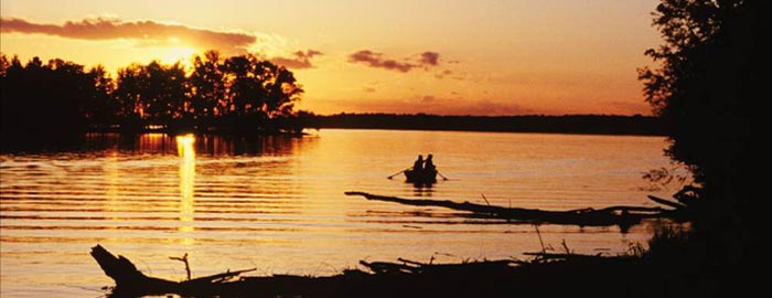 Lake Wissota State Park Campground in Wisconsin