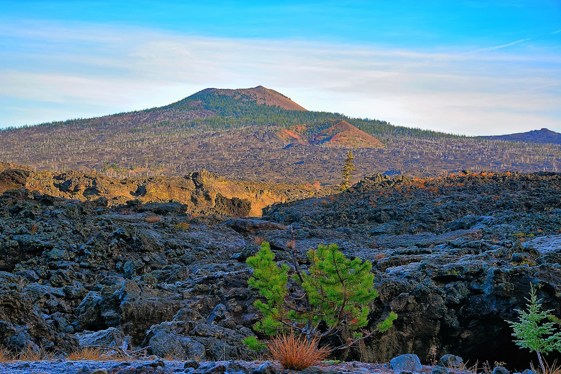 Central Cascades Day-Use — Lava Camp wilderness permit area in Central Cascades Wilderness - backcountry hiking destination