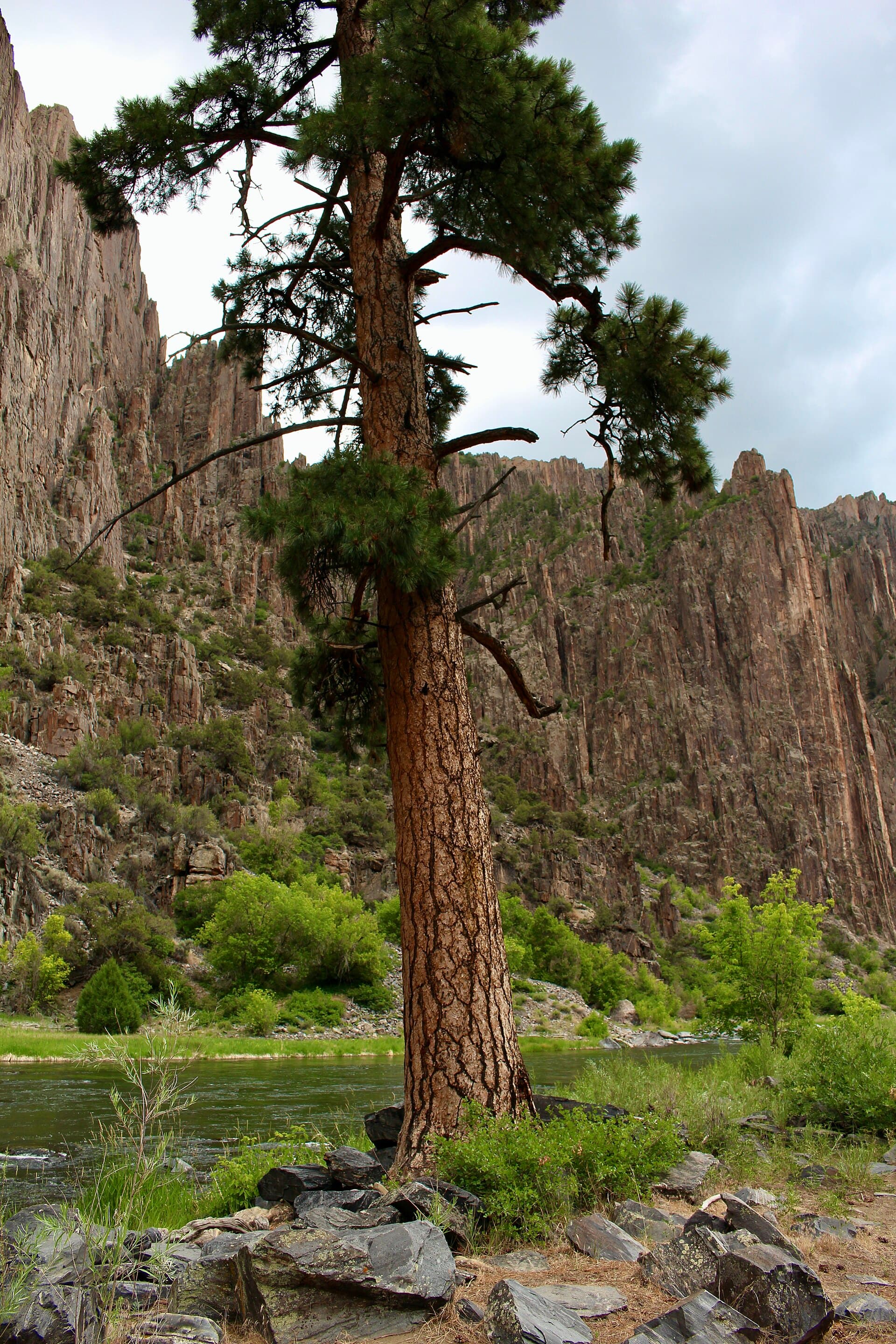 Black Canyon Red Rock Canyon Wilderness Permit wilderness permit area in Black Canyon of the Gunnison National Park - backcountry hiking destination