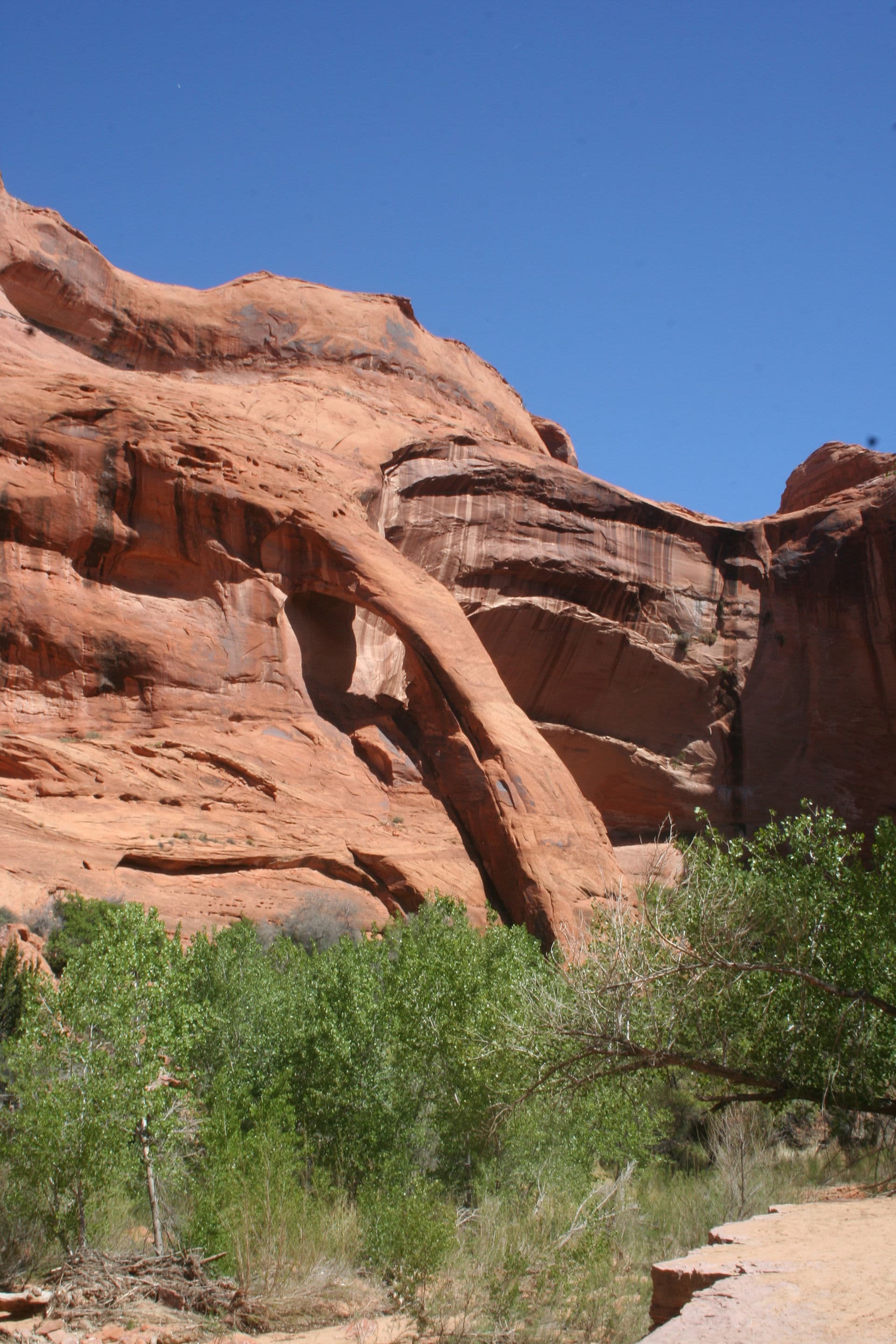 Coyote Gulch Overnight Permit wilderness permit area in Grand Staircase-Escalante National Monument - backcountry hiking destination