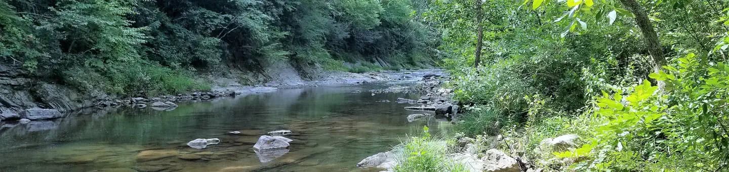 STEEL BRIDGE CAMPGROUND campground in Virginia