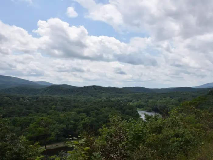 Fifteen Mile Creek Campsite campground in Maryland
