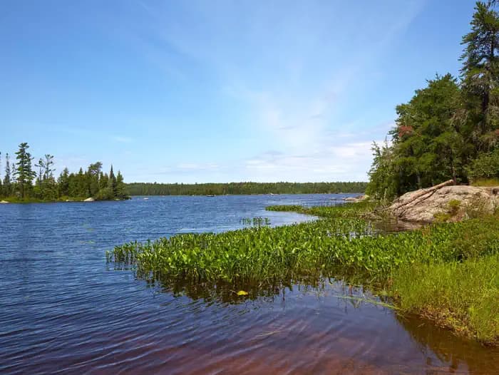 JEANETTE LAKE campground in Minnesota