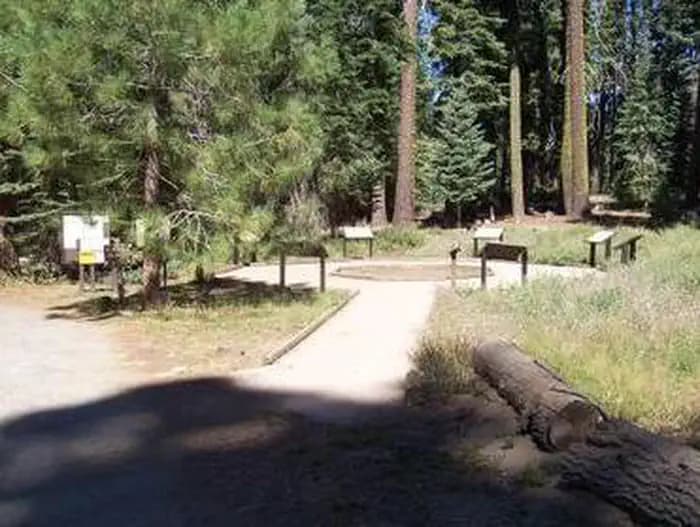 QUAKING ASPEN campground in California