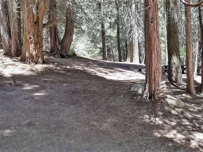 HOLEY MEADOW campground in California