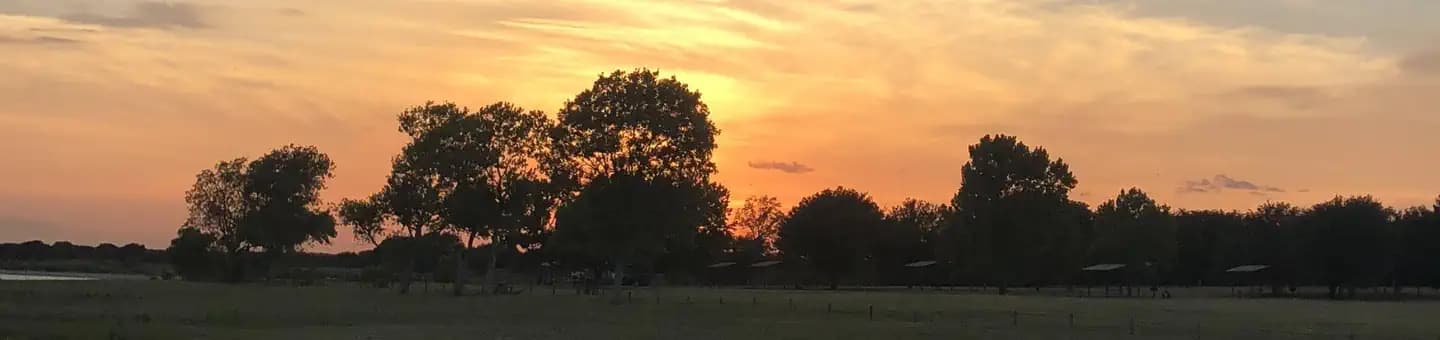 CEDRON CREEK campground in Texas