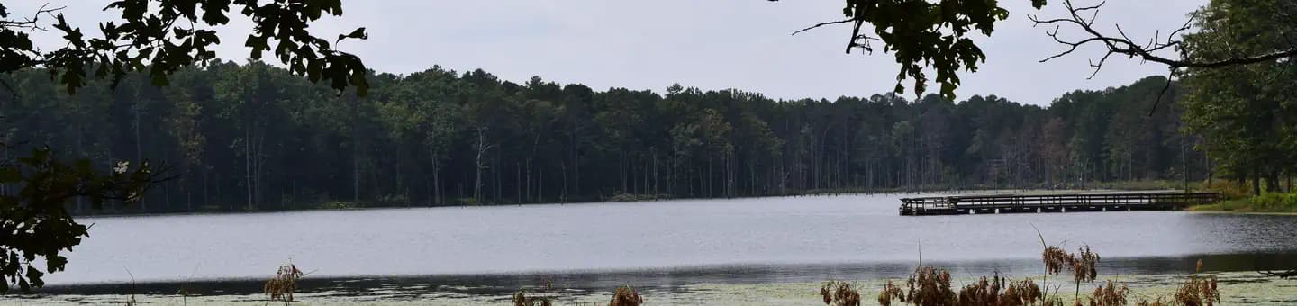PINEWOODS LAKE REC AREA campground in Missouri