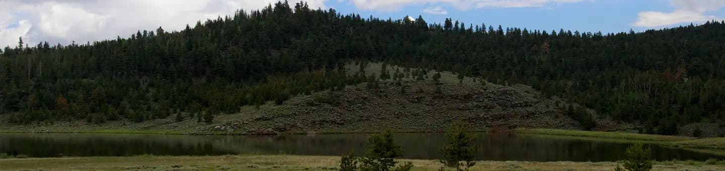 BROWNE LAKE GROUP SITES campground in Utah