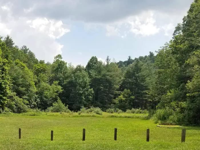 Boley Field Group Campground in Virginia