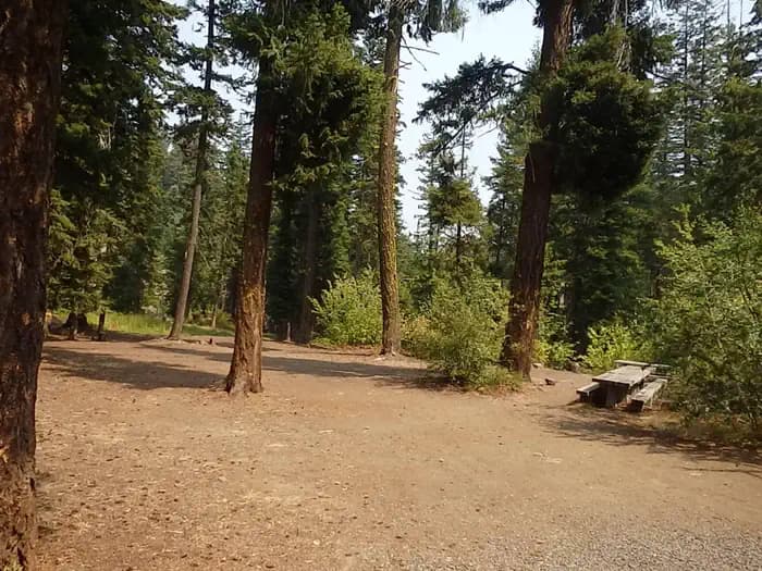 PINE NEEDLE GROUP SITE campground in Washington