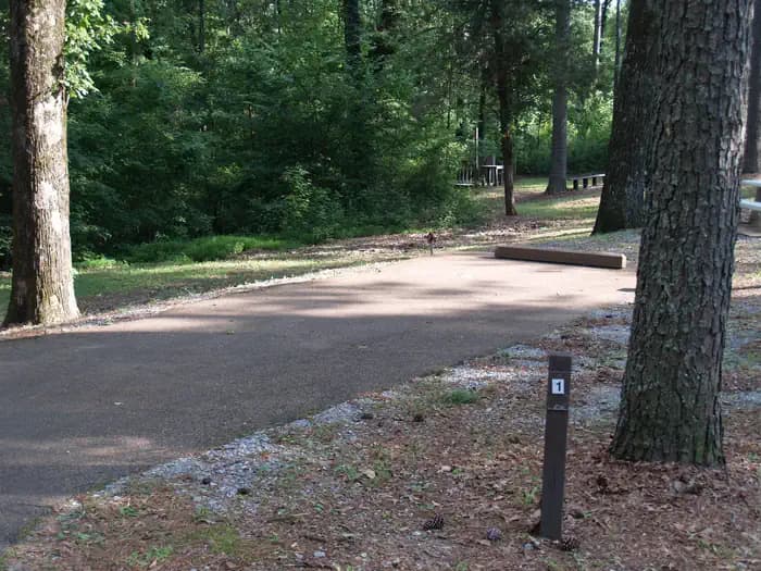 Dub Patton Campground campground in Mississippi