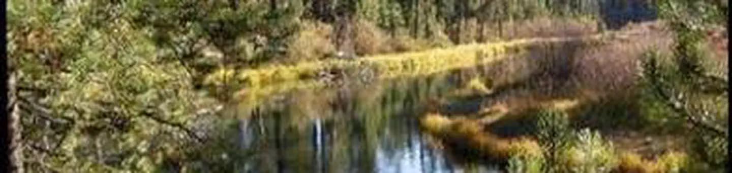 FALL RIVER GUARD STATION campground in Oregon