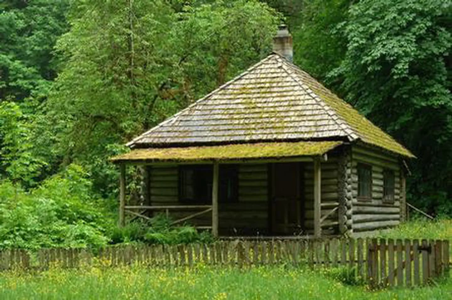 INTERROREM CABIN campground in Washington