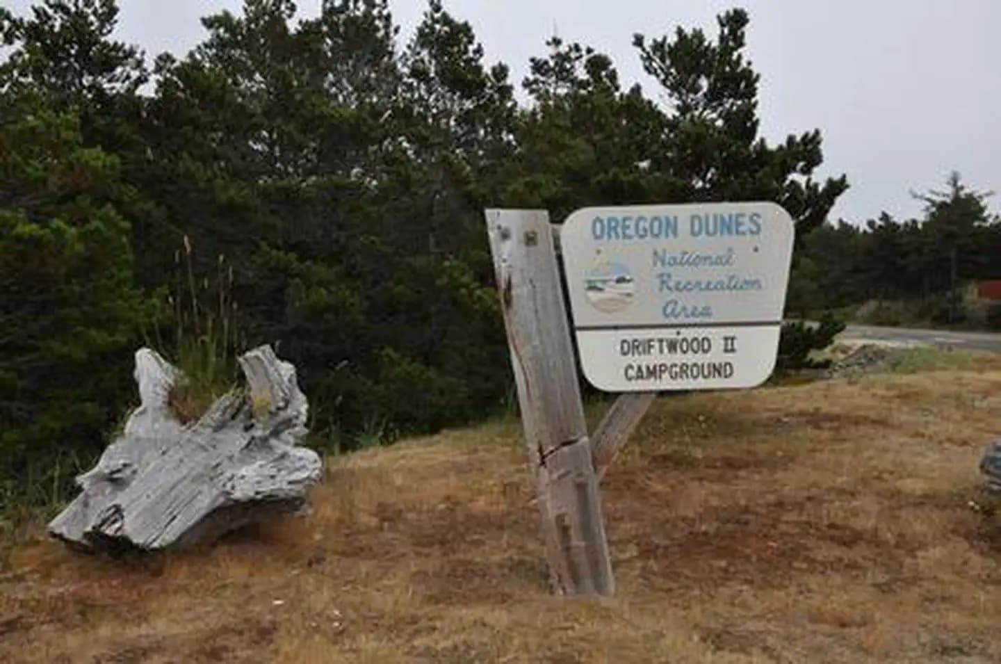 DRIFTWOOD campground in Oregon