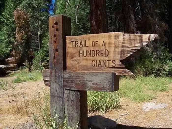 REDWOOD MEADOW campground in California