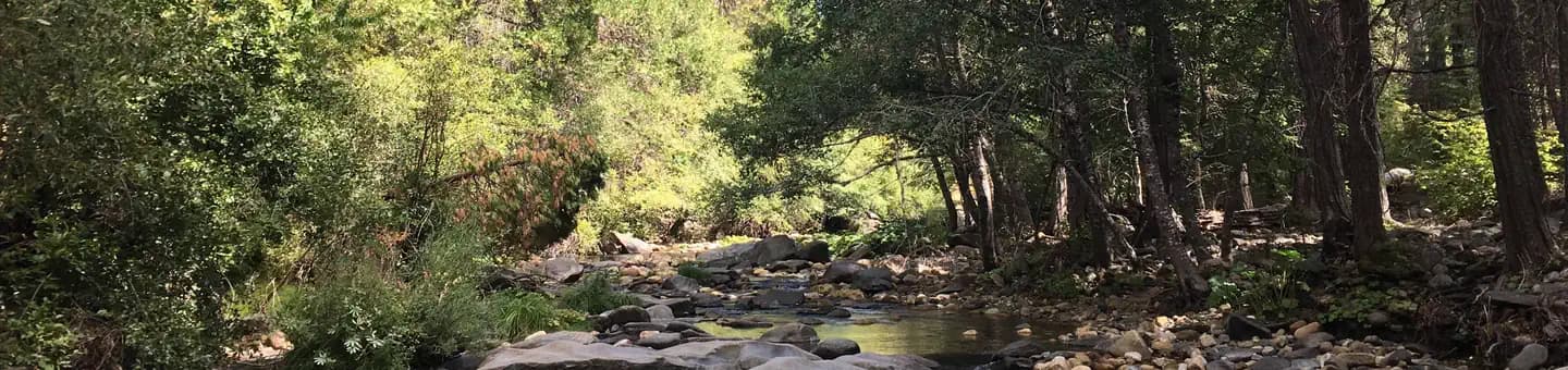 PIPI CAMPGROUND campground in California