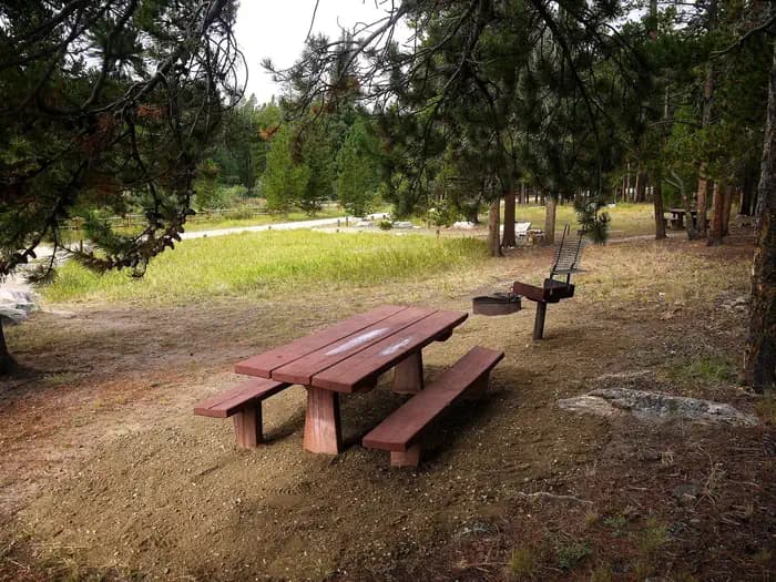 DOYLE CREEK CAMPGROUND campground in Wyoming