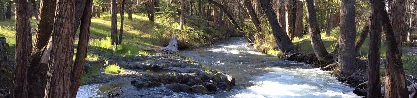 HAT CREEK campground in California