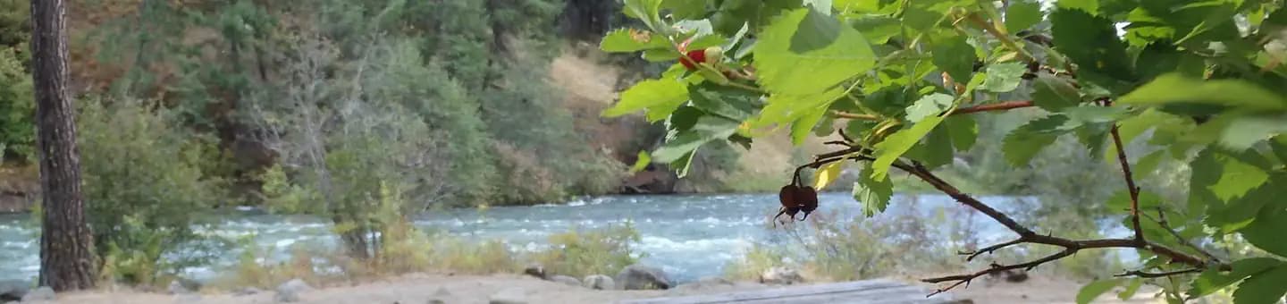 Hause Creek Campground campground in Washington