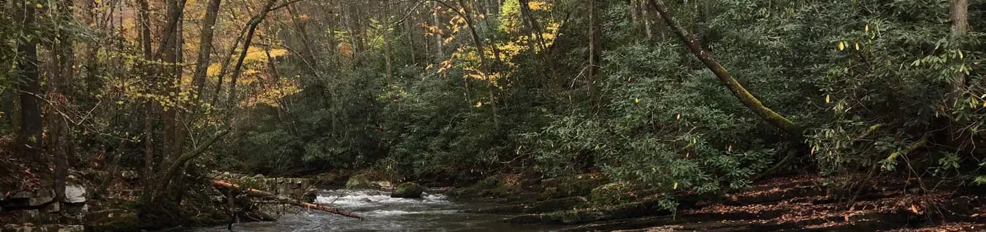 BACKBONE ROCK CAMPGROUND campground in Tennessee