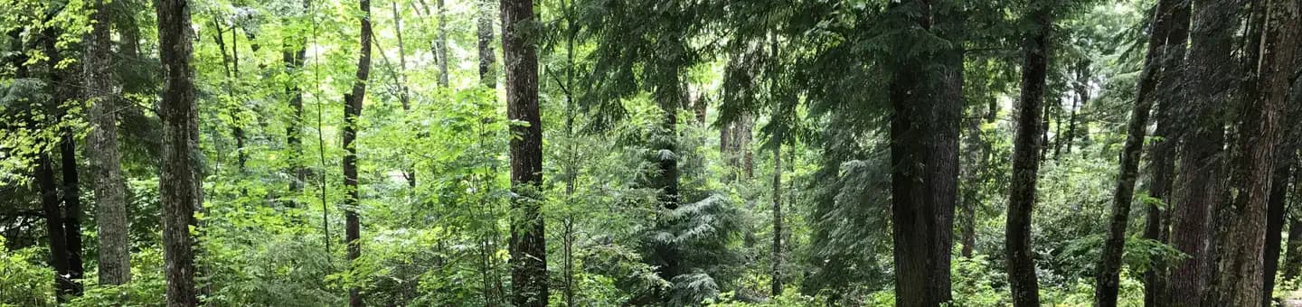 DENNIS COVE CAMPGROUND campground in Tennessee