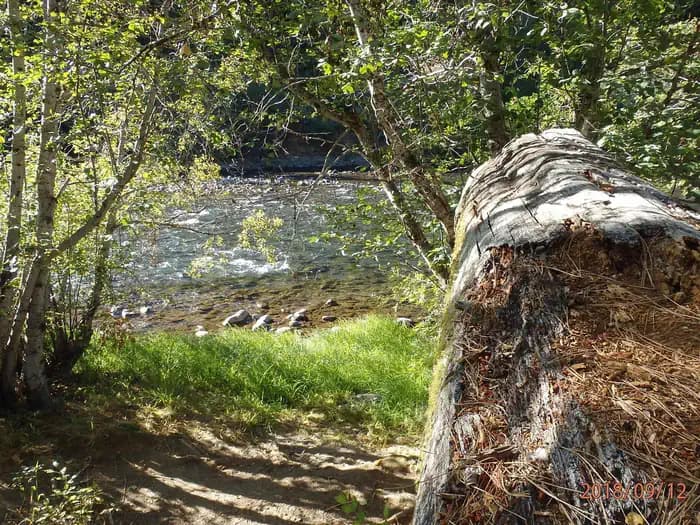 Cottonwood Campground - Naches River (WA) campground in Washington