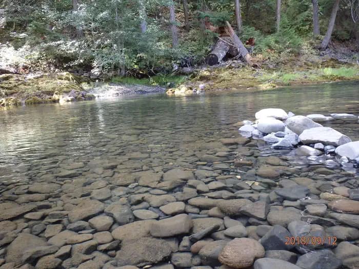 Little Naches Campground campground in Washington