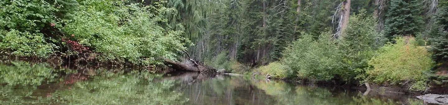 PLEASANT VALLEY CAMPGROUND campground in Washington