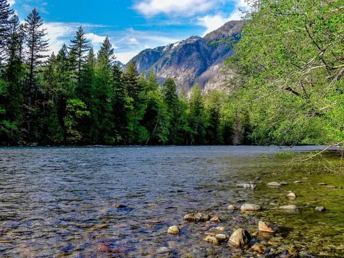 Newhalem Creek Campground campground in US