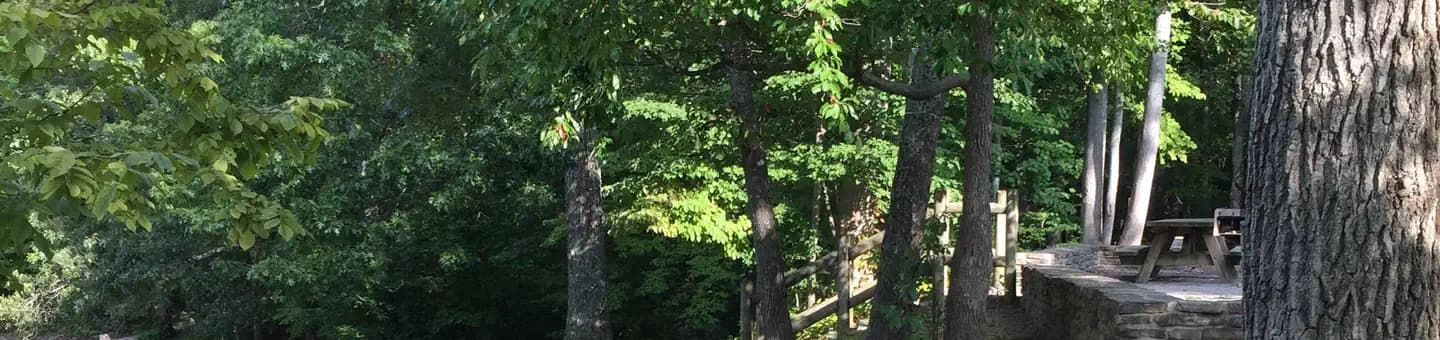 CHILHOWEE CAMPGROUND campground in Tennessee