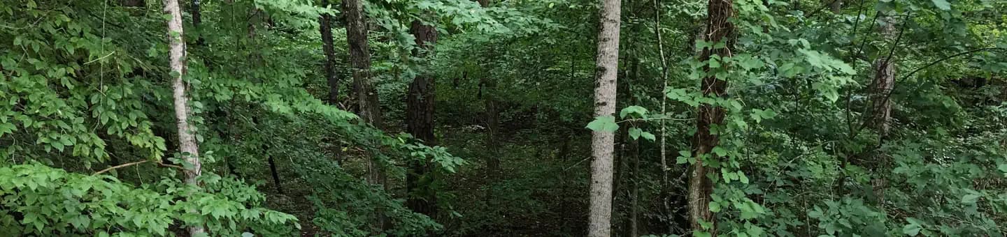 PARKSVILLE LAKE RV CAMPGROUND campground in Tennessee