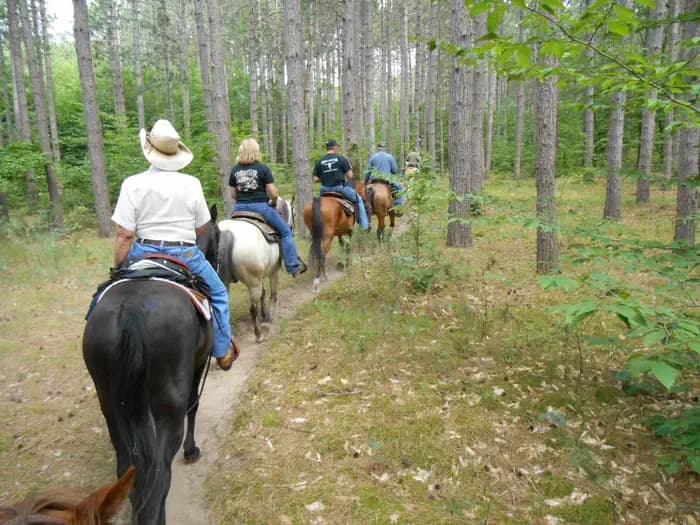 HUNGERFORD EQUESTRIAN GROUP CAMPSITE campground in Michigan