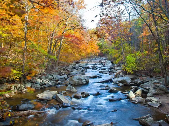 Rock Creek Park Group Picnic Areas (DC) campground in District of Columbia