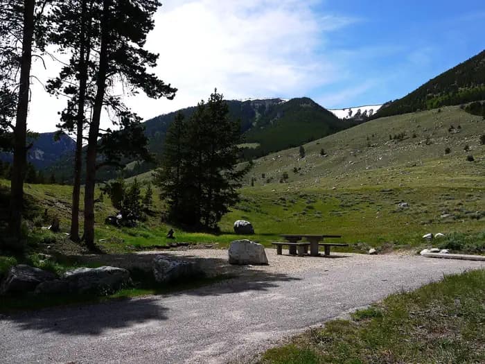 LIMBER PINE campground in Montana