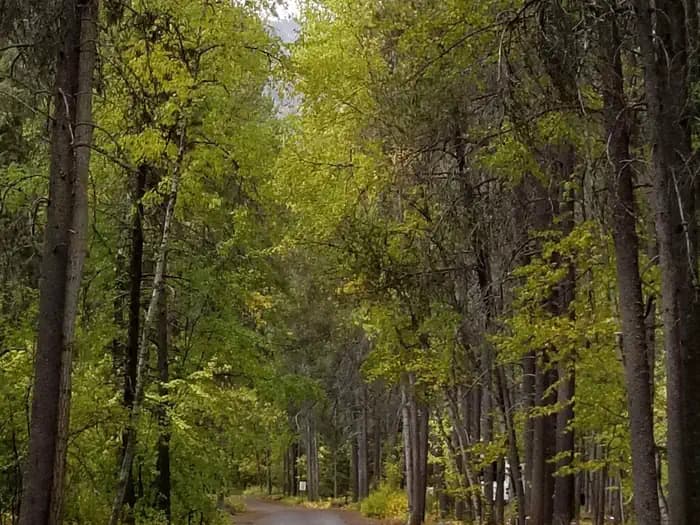 APGAR GROUP SITES campground in Montana