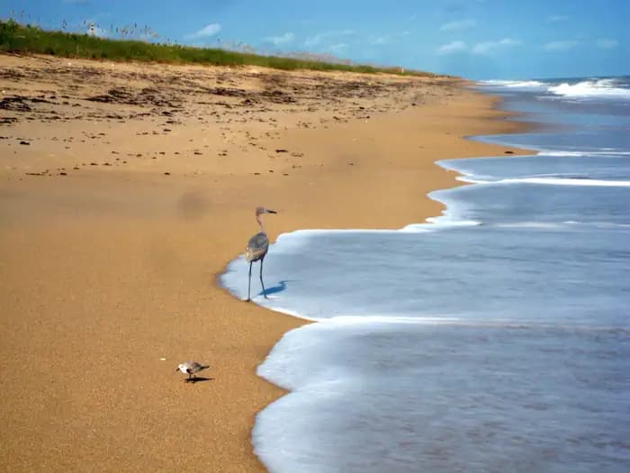 Canaveral National Seashore Permits Campground in Florida
