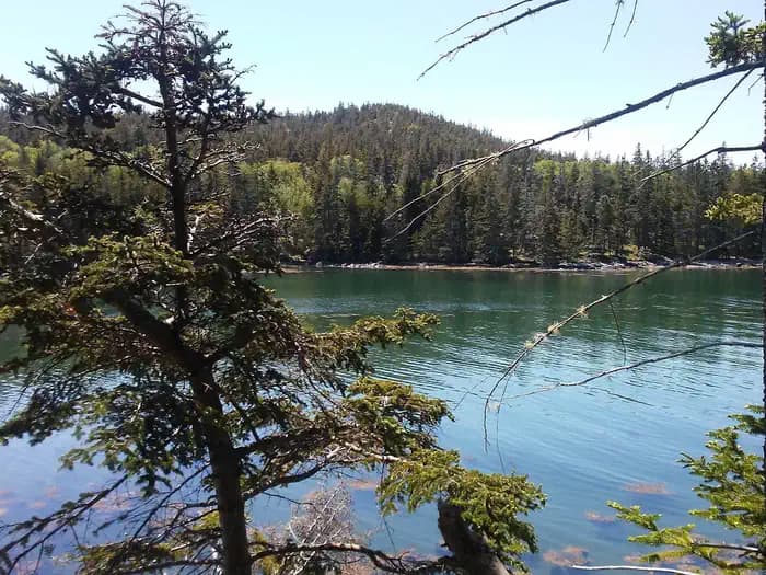 DUCK HARBOR CAMPGROUND campground in Maine