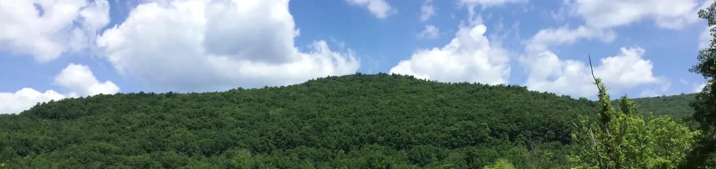 WILLOW BAY campground in Pennsylvania