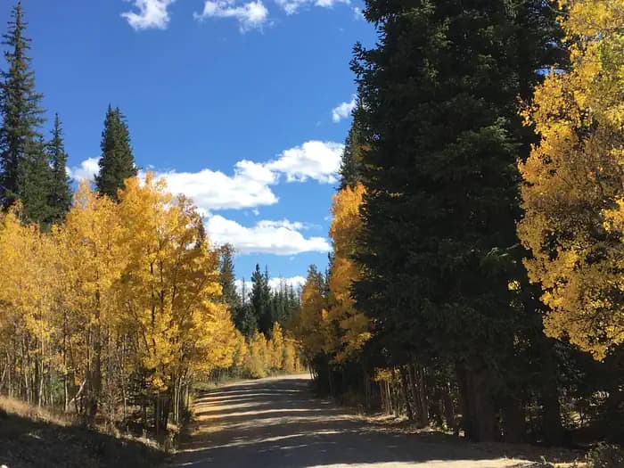 ASPEN (CO) campground in Colorado