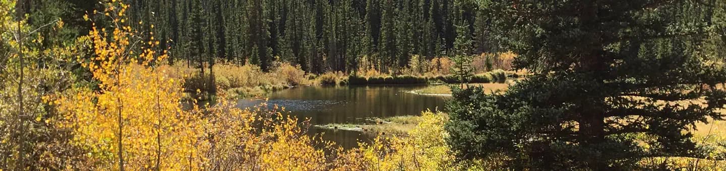 Lodgepole (Jefferson Lake, Fairplay Colorado) campground in Colorado