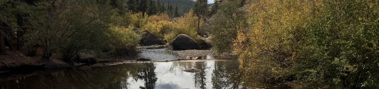 SPRUCE GROVE CAMPGROUND campground in Colorado