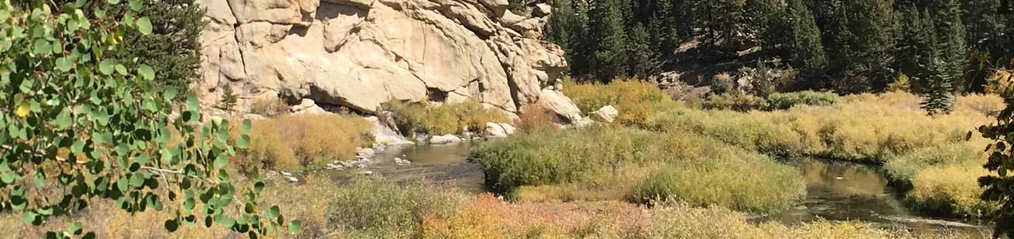 COVE CAMPGROUND campground in Colorado