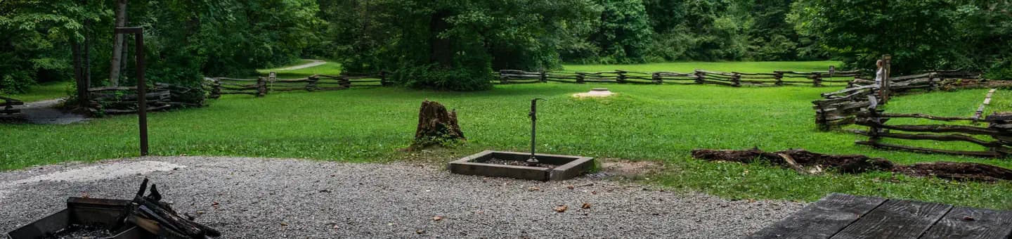 NORTH MILLS RIVER campground in North Carolina