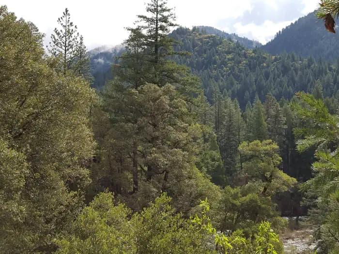 RAMSHORN campground in California
