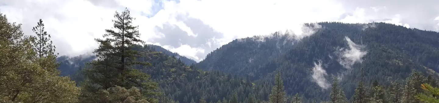 LOGANVILLE campground in California