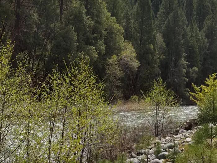 UNION FLAT campground in California