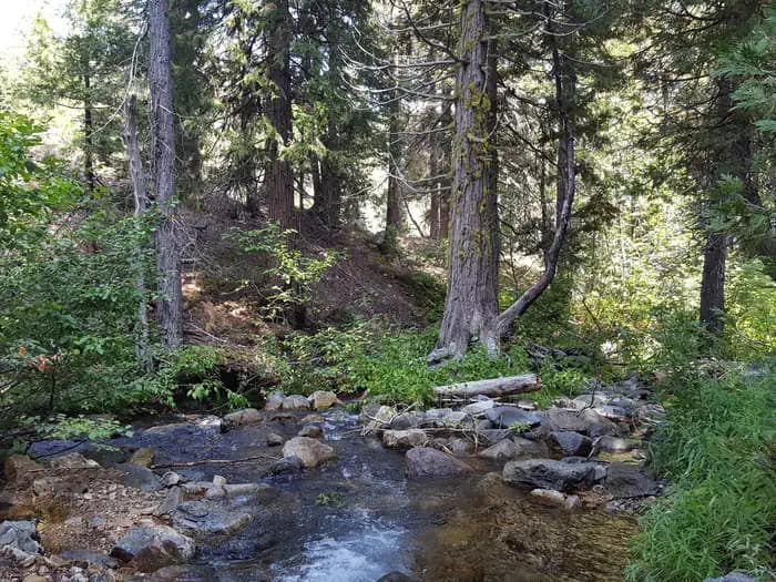 BERGER campground in California