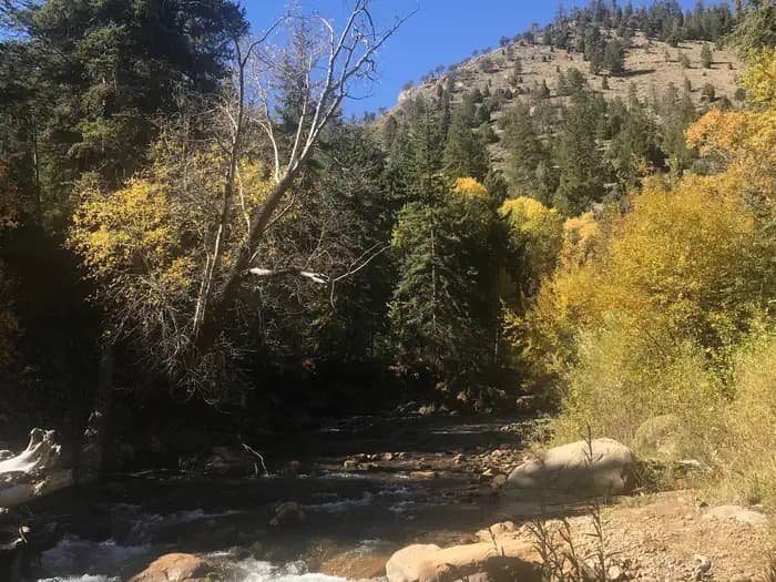 LITTLE BEAR GROUP campground in Utah