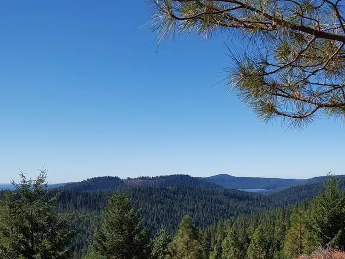 SKILLMAN campground in California